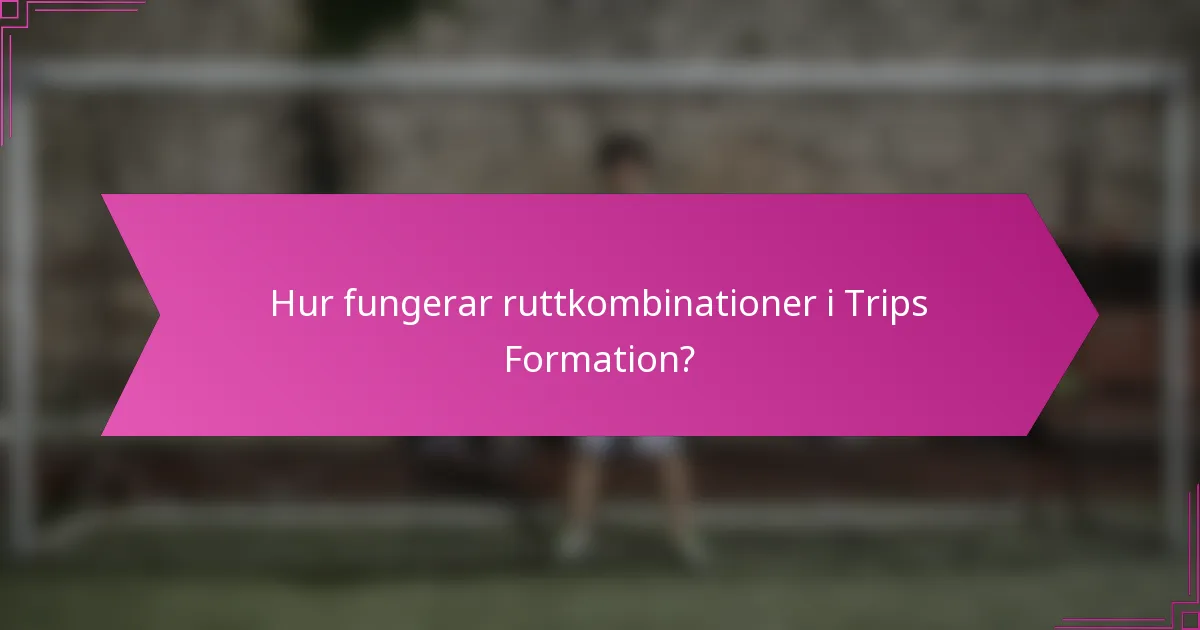 Hur fungerar ruttkombinationer i Trips Formation?