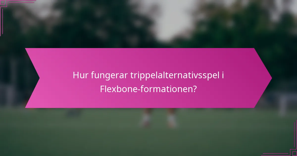 Hur fungerar trippelalternativsspel i Flexbone-formationen?