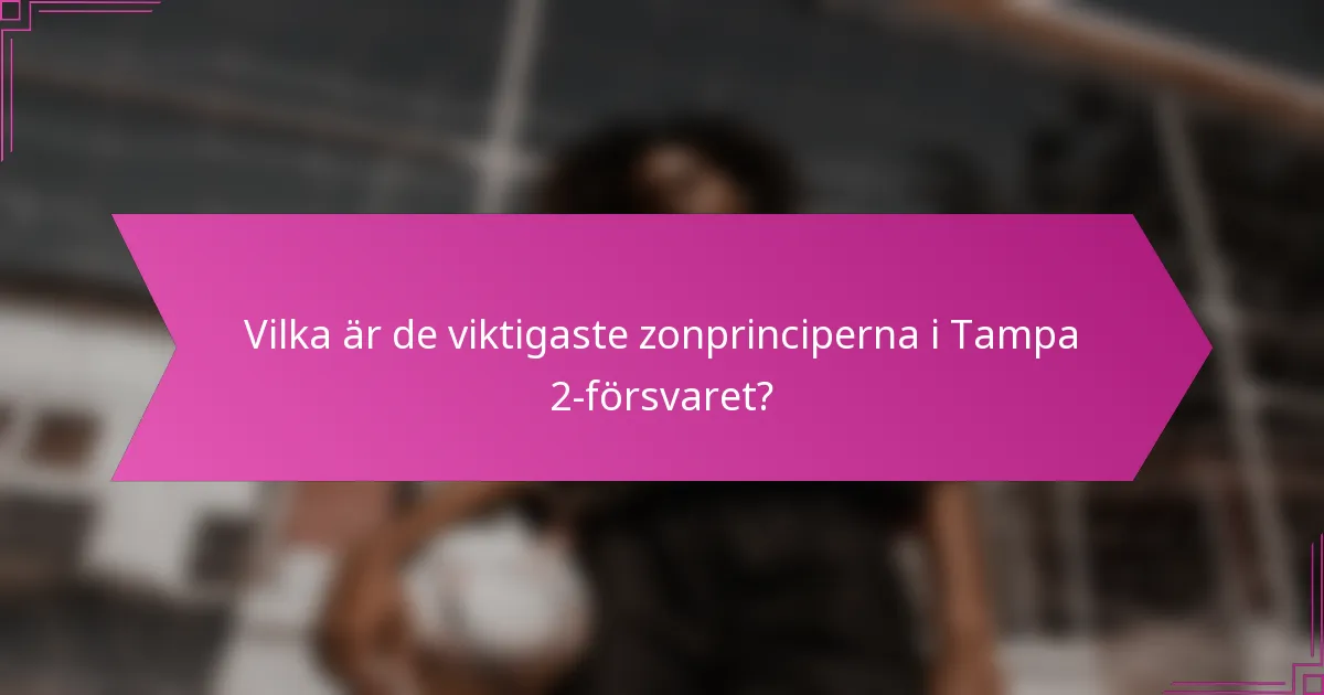 Vilka är de viktigaste zonprinciperna i Tampa 2-försvaret?