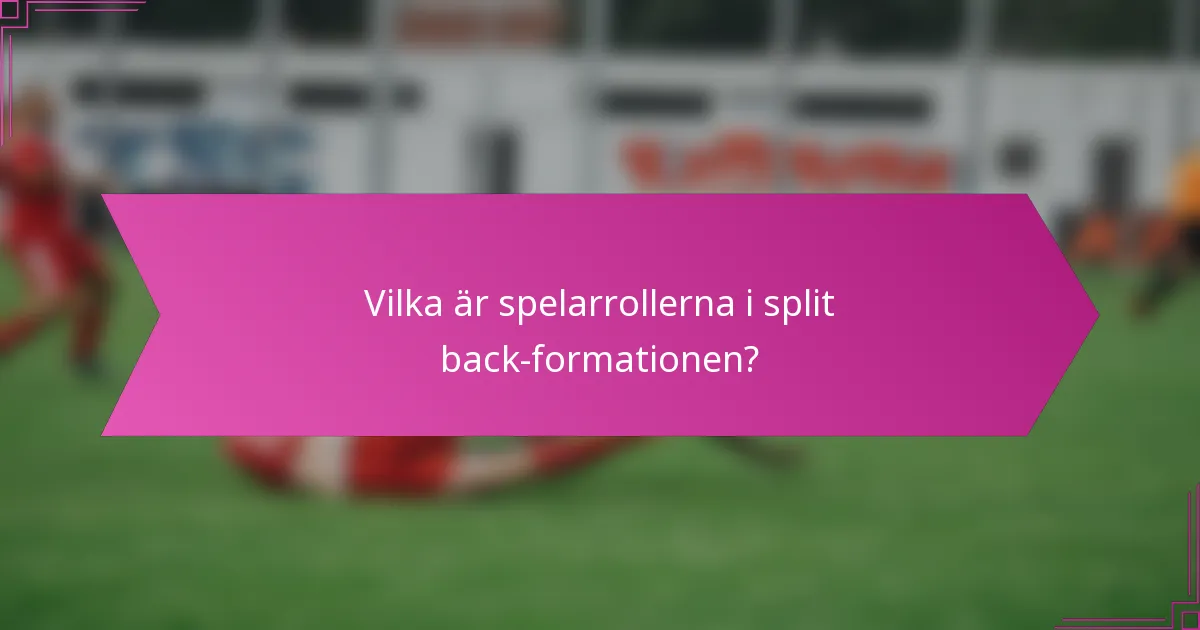 Vilka är spelarrollerna i split back-formationen?